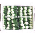 Organic Pollution free Chinese frozen pakchoi cabbage